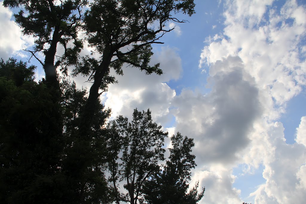 Clouds & Tree Silhouette (Radford, Virginia), Радфорд