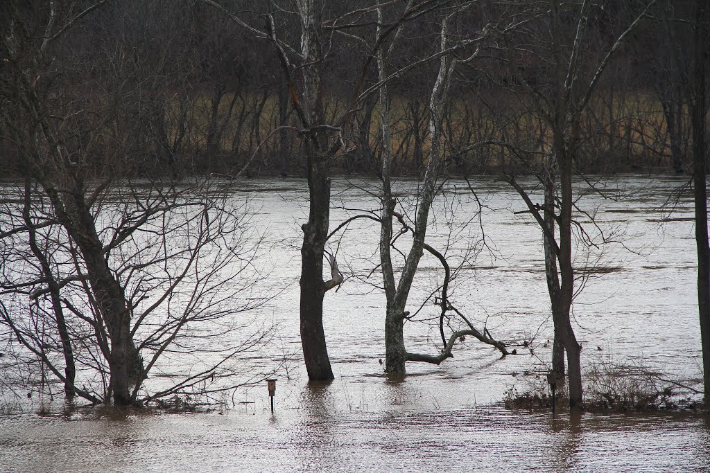 New River Flood, Riverview Park, Radford VA, Радфорд