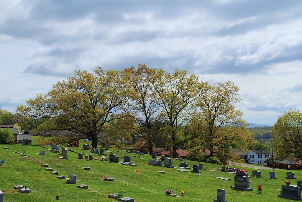 Trees at Westview Cemetery, Radford VA, Радфорд