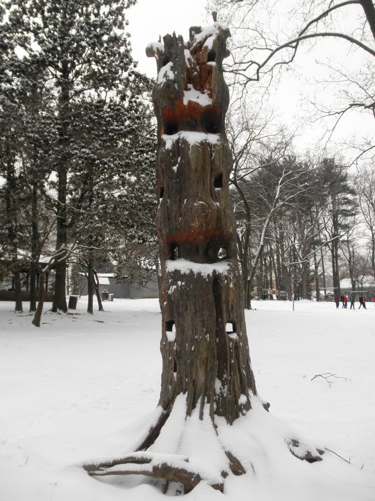 carved climbing tree in Cherry Hill park, Севен-Корнерс