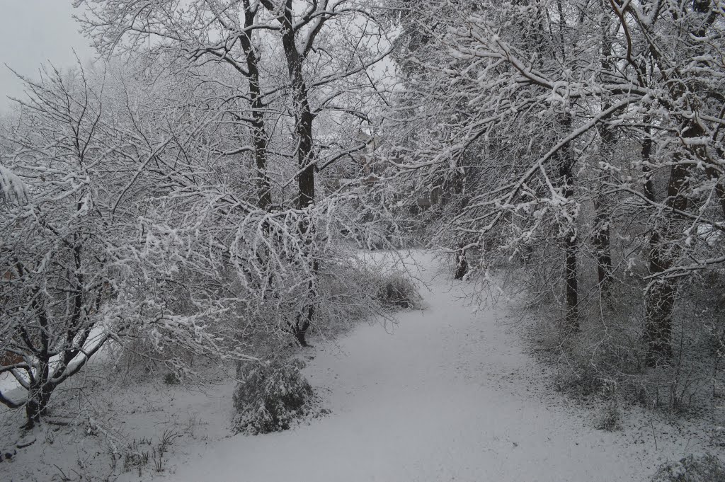 Snow at Tuckahoe, Севен-Корнерс