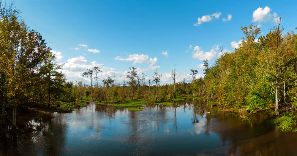 Chickahimony River/Swamp, Sandston, Henrico County, VA., Хайленд-Спрингс