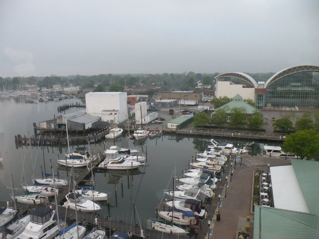 View of Marina from Hotel Room at the Crown Plaza, Хэмптон