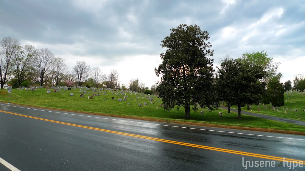 Oakwood Cemetery viewed from Elliot Ave, Чарлоттесвилл