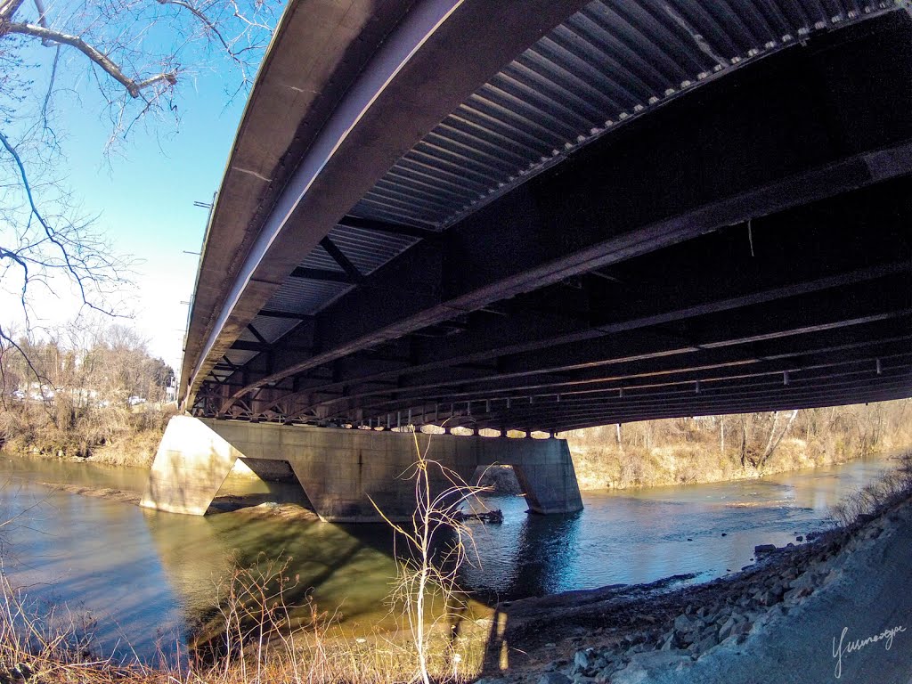 Rivanna Trail under Free Bridge, Чарлоттесвилл