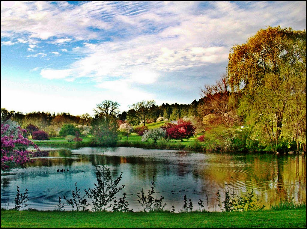 Obojeno jezero...Greenfield Park (R), Брукфилд