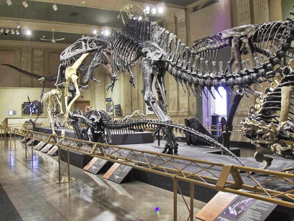 Dinosaur Discovery Museum, GLCT, Кеноша