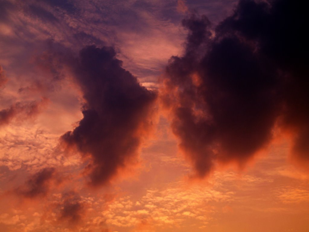 Morning Clouds, Меномони Фаллс