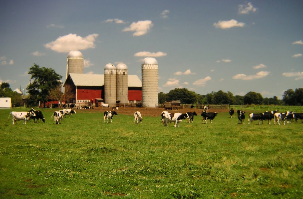dairy farm, near Albany, Wisconsin, july 1974, Олбани
