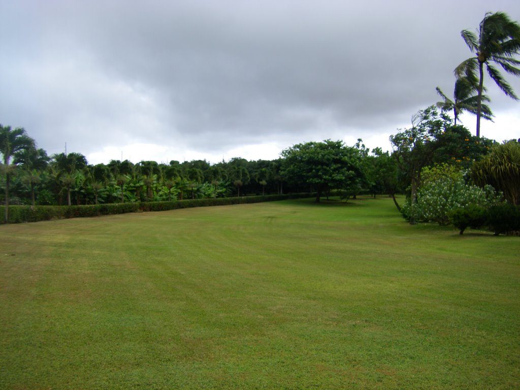 Maui Pinapple Plantation, Ваикапу