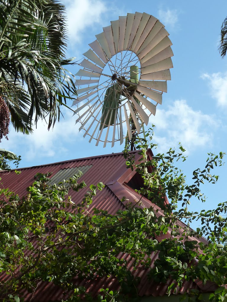 ハワイ・ワイレアの果樹園：風車, Ваикапу