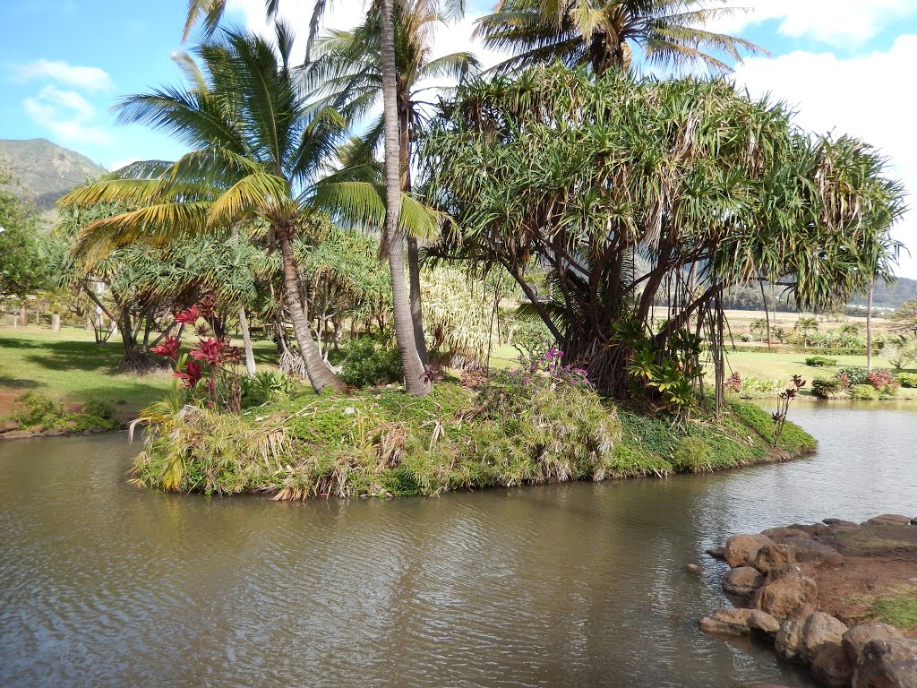 Tropical Plantation, Ваикапу