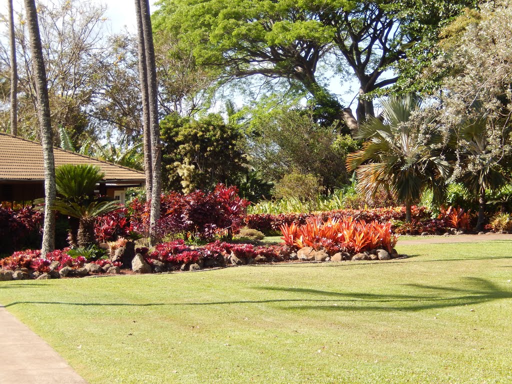 Tropical Plantation, Ваикапу