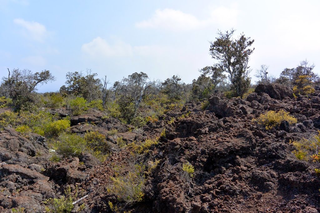 2014-05-09 Geocaching in A-a lava flows by the Mauna Loa Observatory Road, Канеоха