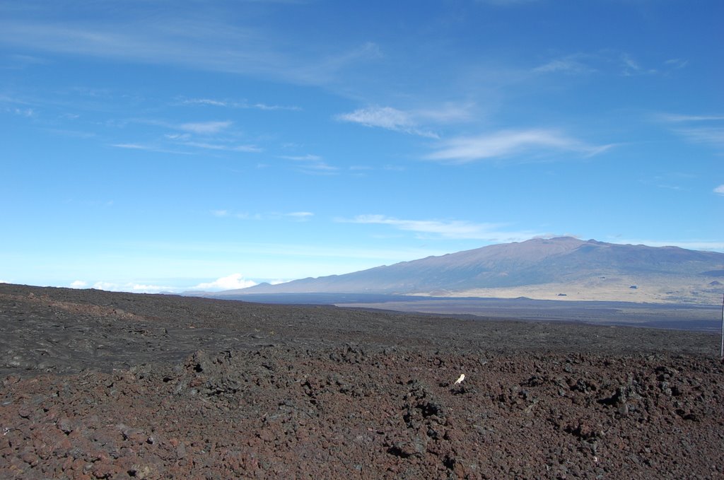 A view of Mauna Kea, Канеоха