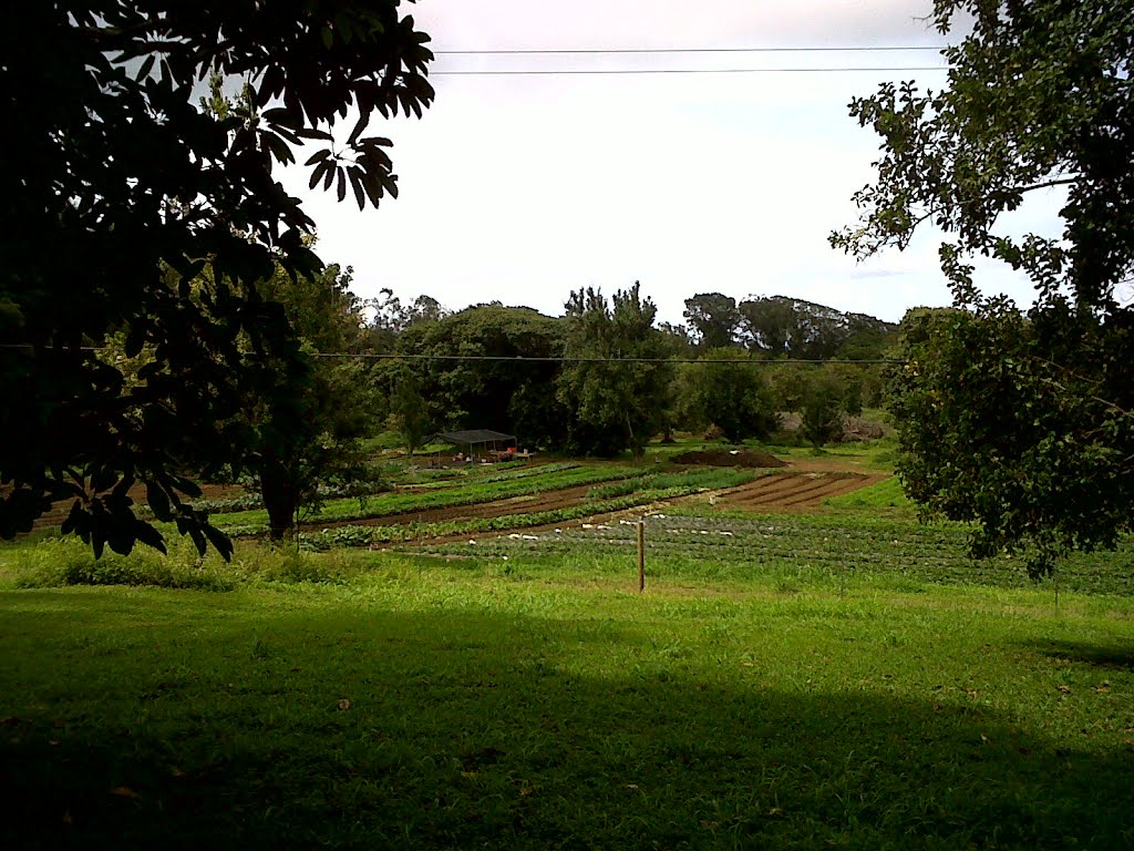 Gardens below Kalahikiola Church, Капаау