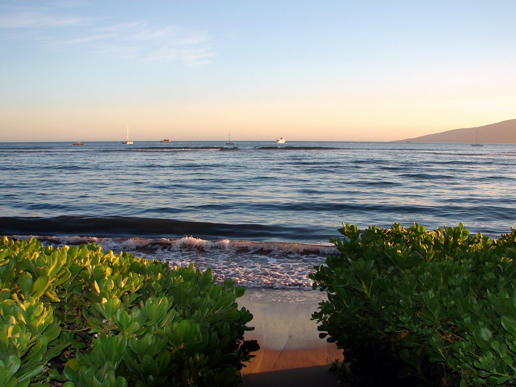 Maui Island, Hawaii., Кихей