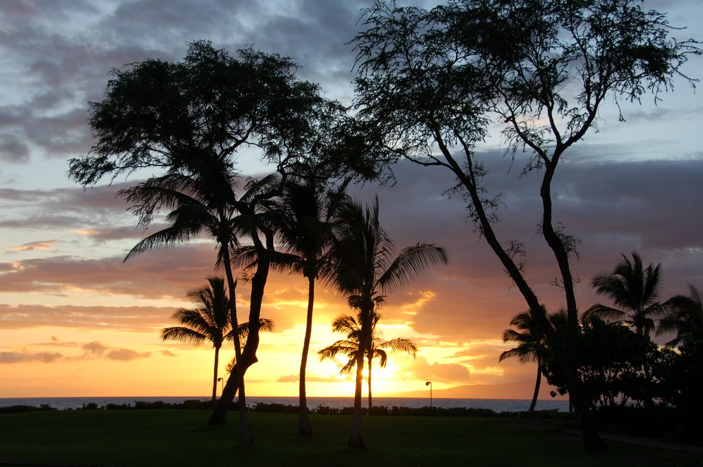 [Sunset at Maui], Паия