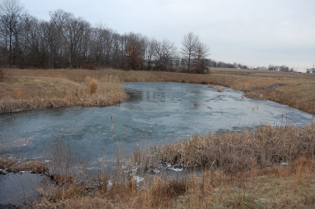 Frozen Pond, Талливилл