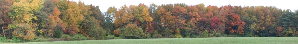 Autumn Leaves panorama, Талливилл