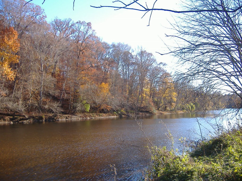 leaves in the river, Талливилл