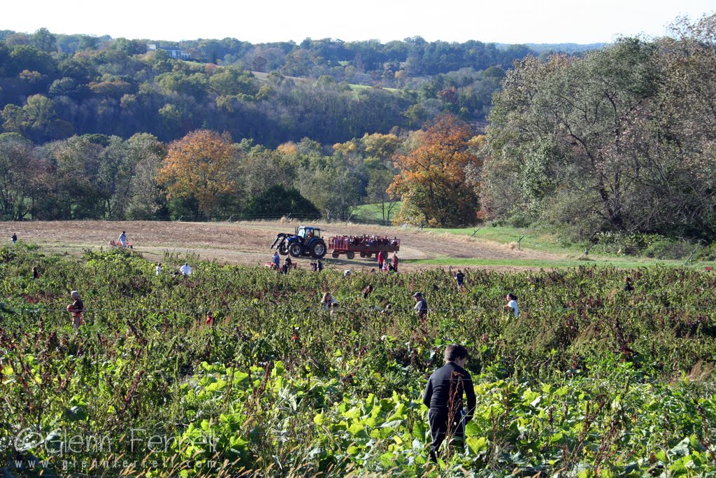 Ramsey Farm, near Beaver Valley, Delaware. Pennsylvania can be seen to the upper right., Талливилл