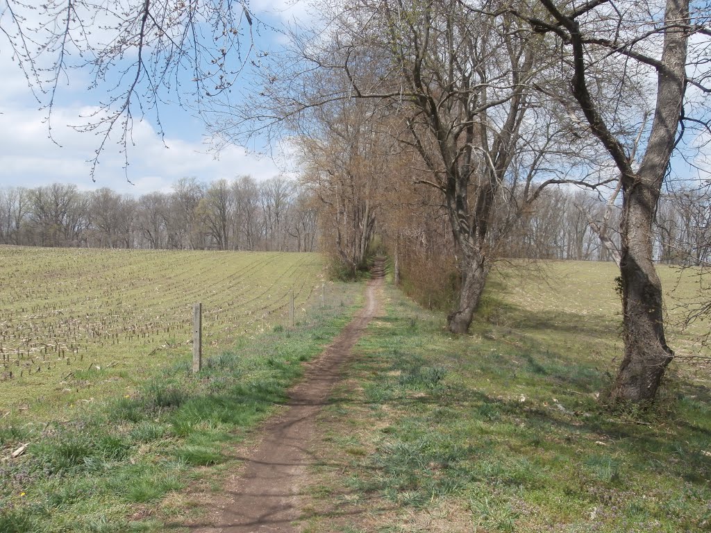 Preserved land in the Brandywine Creek Valley, Талливилл