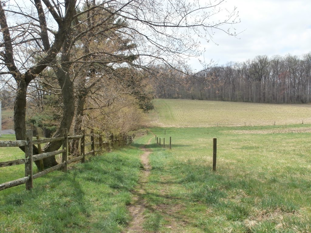 Preserved land in the Brandywine Creek Valley, Талливилл