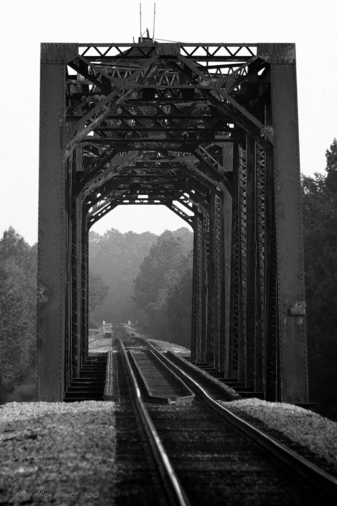 Ocmulgee River Bridge, Lumber City, Georgia. This through-truss SouthernRailway bridge once rotated on its center pier to allow Steamboats to pass.  Southern also maintained wharves on the riverbank to transfer freight to and from the boats.  No trace of , Августа