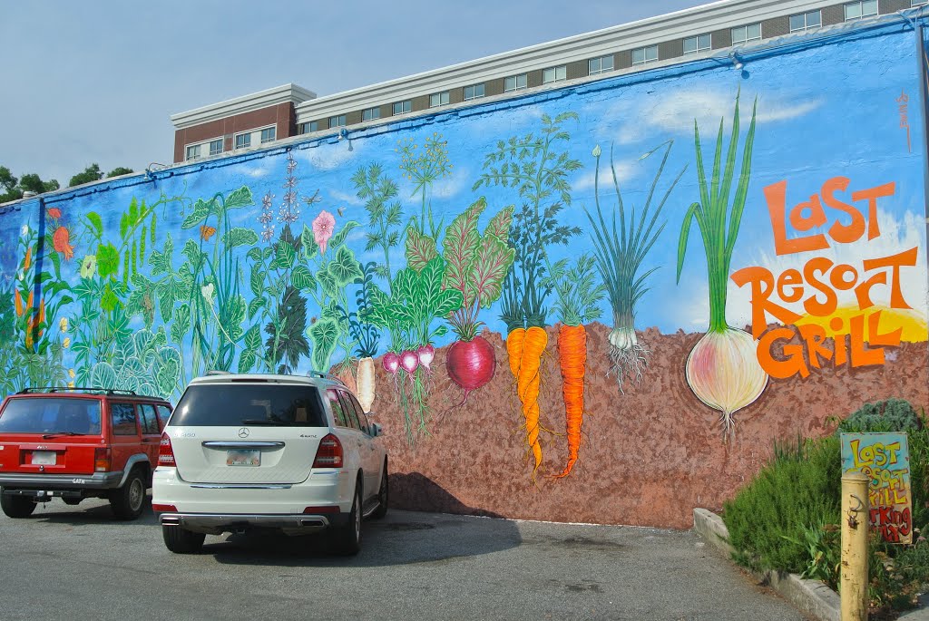Veggie mural, Атенс