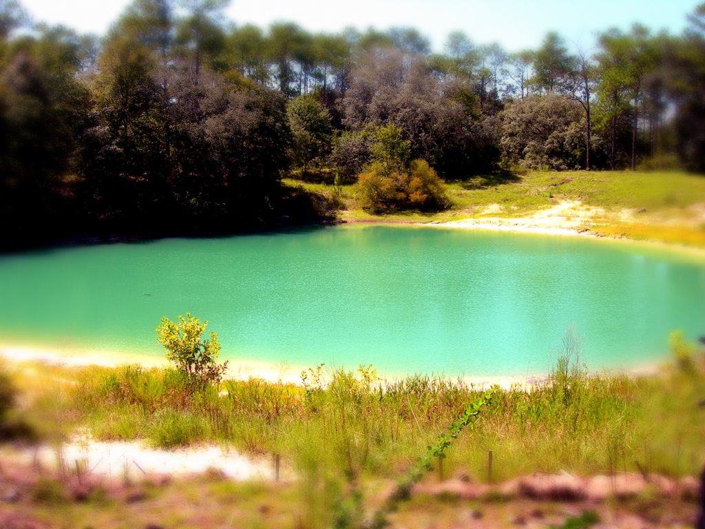 Blue Sink, Аттапулгус