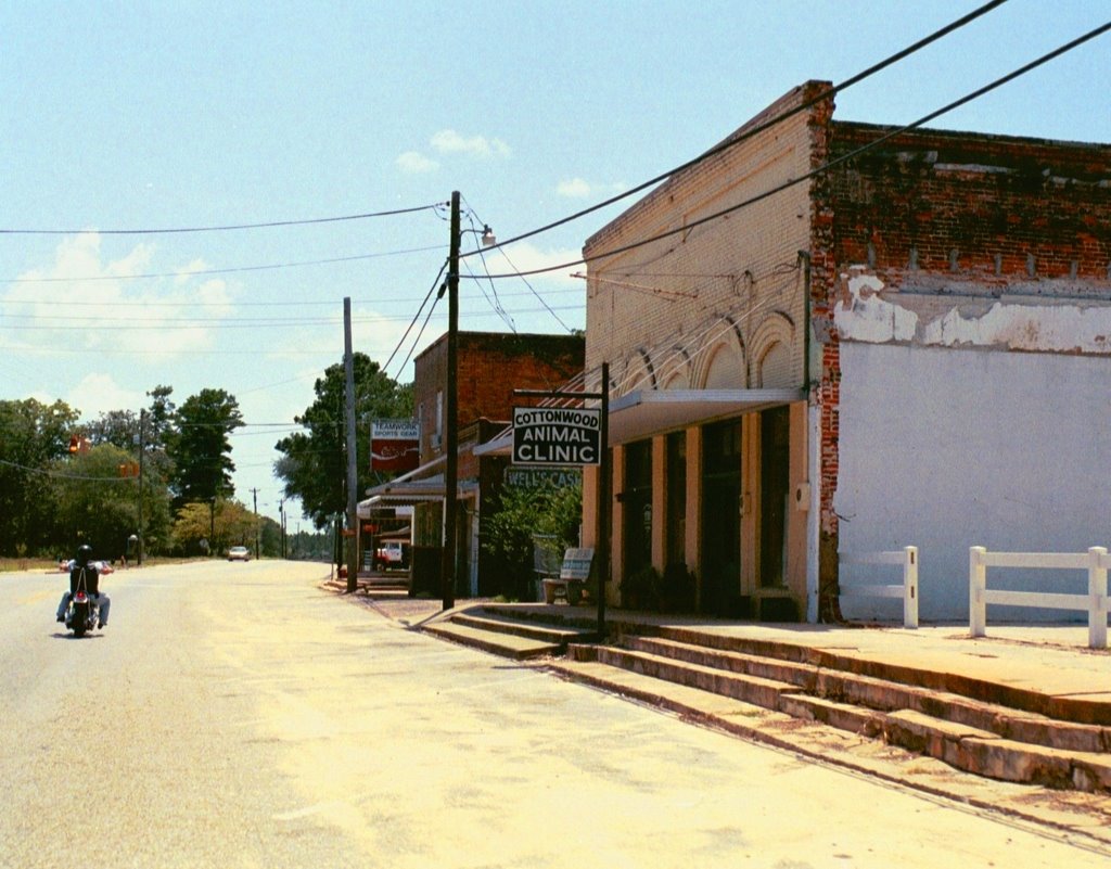 downtown Cottonwood Alabama (8-6-2006), Аттапулгус