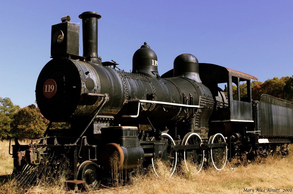 ENGINE 119.  "Elizabeth"  Built for Houston & Texas Central Railroad in April 1892 by the Cooke Locomotive & Machine Company, Patterson, New Jersey.  When Doc Holliday left Georgia, he arrived in Dallas, Texas in September, 1873 aboard the Houston & Texas, Блаирсвилл