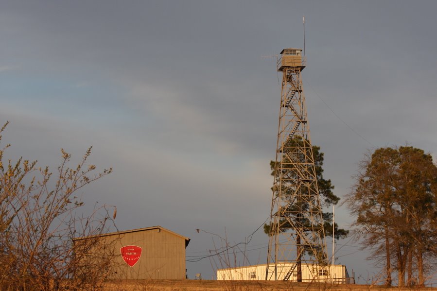 Georgia Forestry Commissions Fire tower., Блаирсвилл
