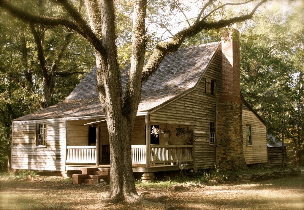 John Fitz Jarrell built this plantation plain style house for his wife, Elizabeth and seven children.  It is typical in size and layout of many cotton plantation houses.  It is built of virgin heart pine., Вена