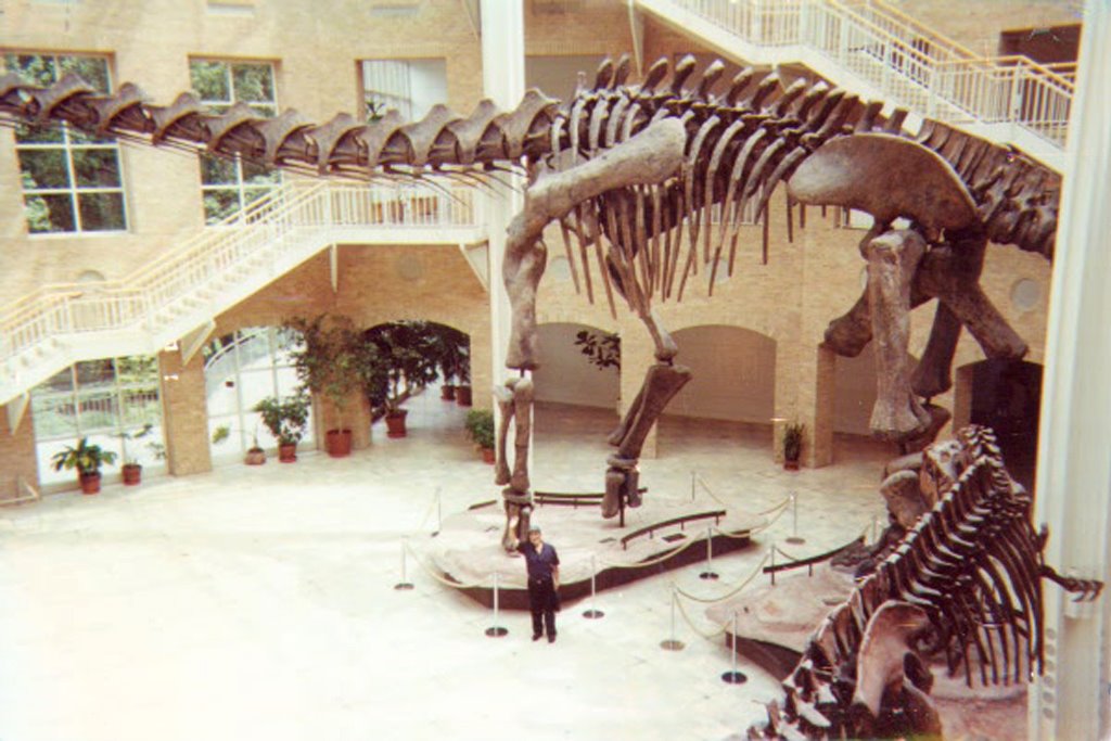 Mi viejo debajo del Argentinosaurus, Грешам Парк