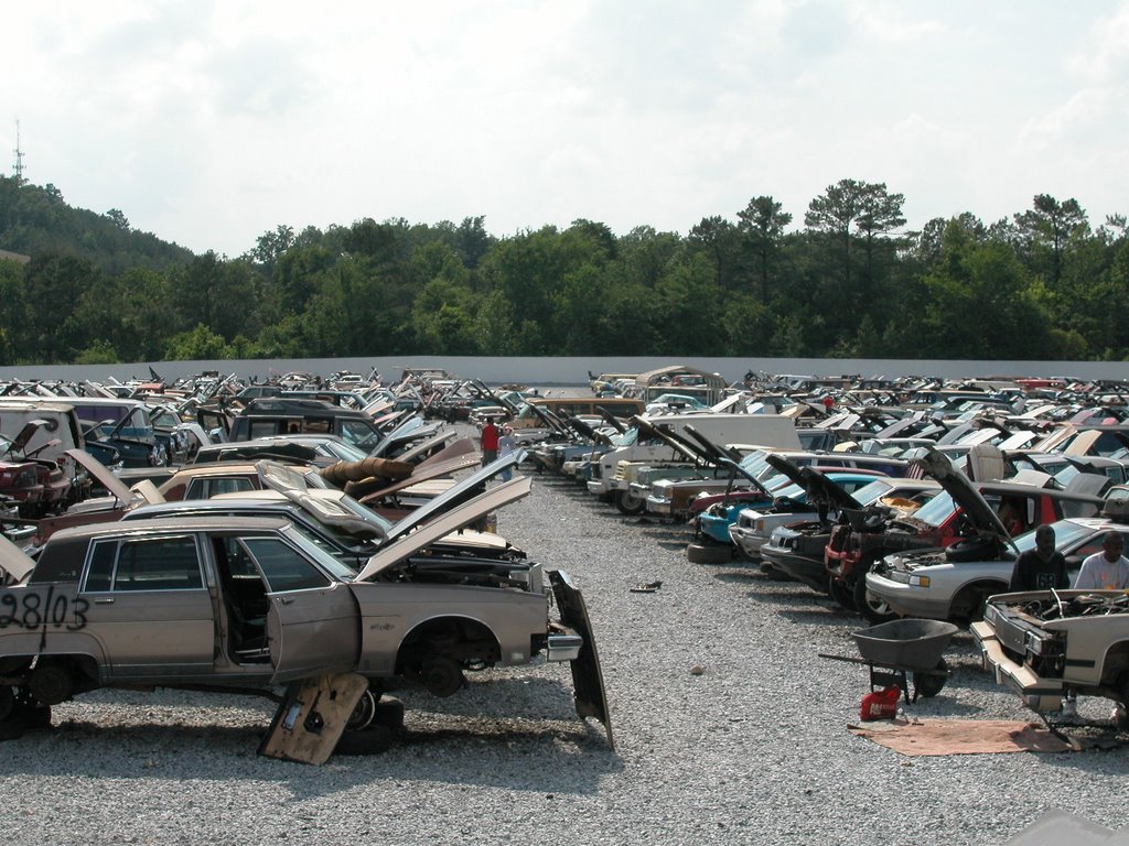 Pull-A-Part  (South ATL), Грешам Парк