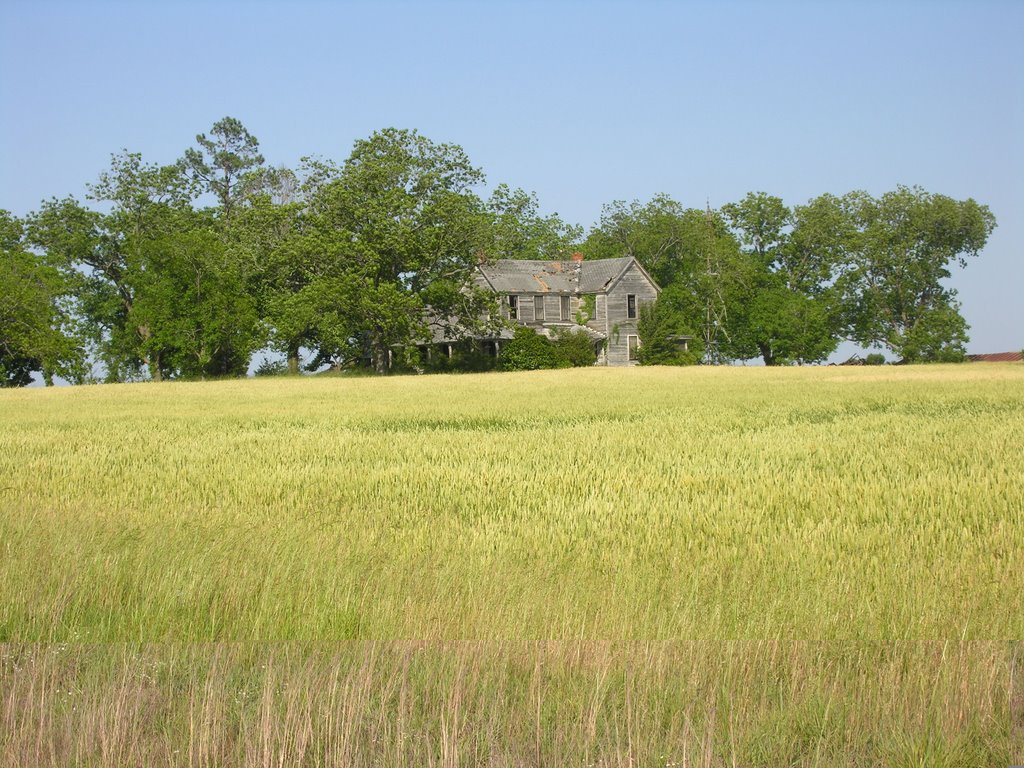 old farm house, Климакс