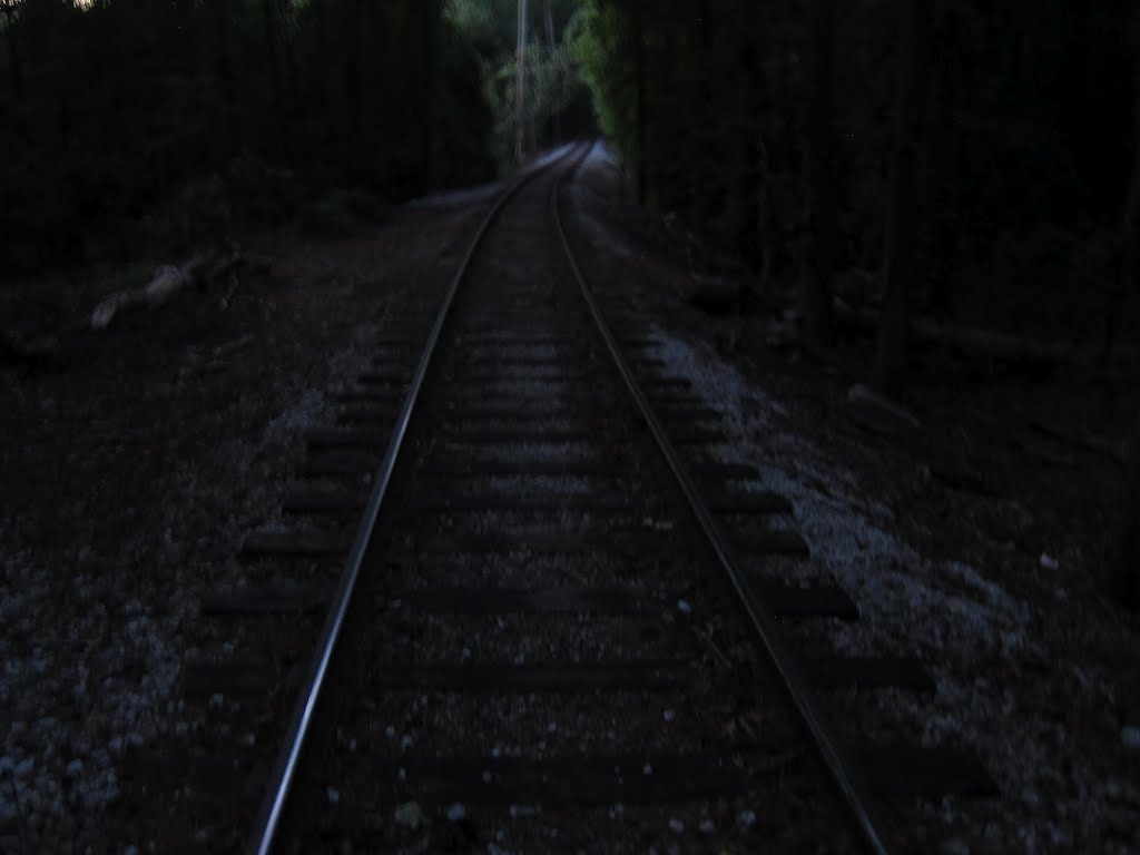 Stone Mountain Park Cherokee Trail at Railroad - Night Hiking, Лукоут Моунтаин