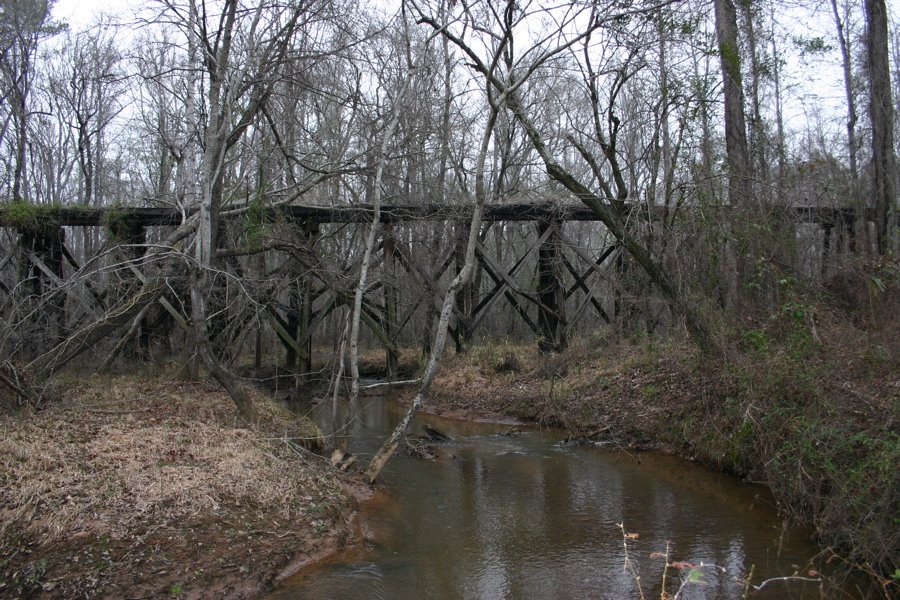 Abandoned old trestle deep in the woods., Норт Друид Хиллс