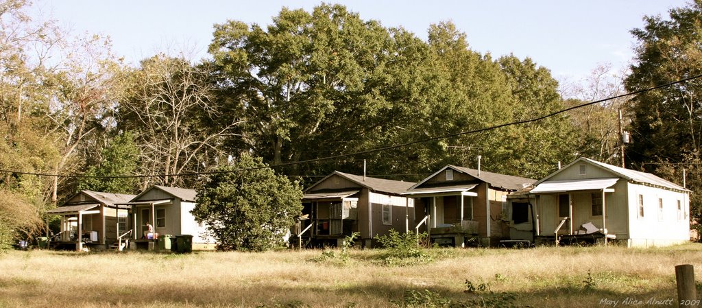 The filming location for parts of the 1994 movie, "The War" with Kevin Costner and Elijah Woods.  One of these shotgun houses served as the home of Stephen, Stu, Lois, and Lidia., Фитзгералд