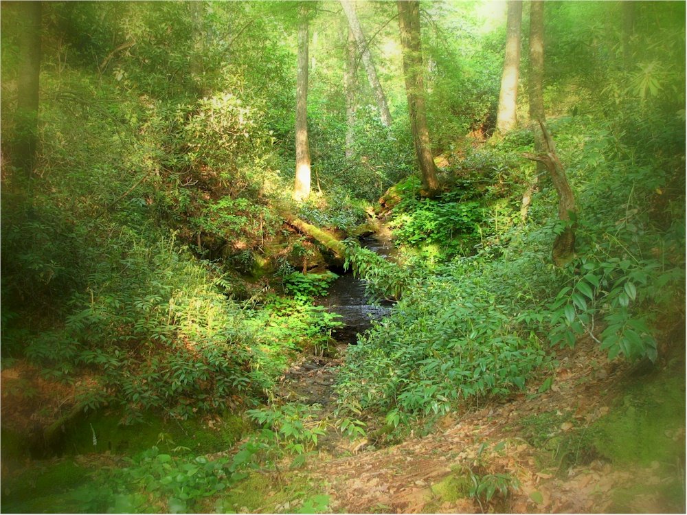 The Dell by the Trail, Франклин