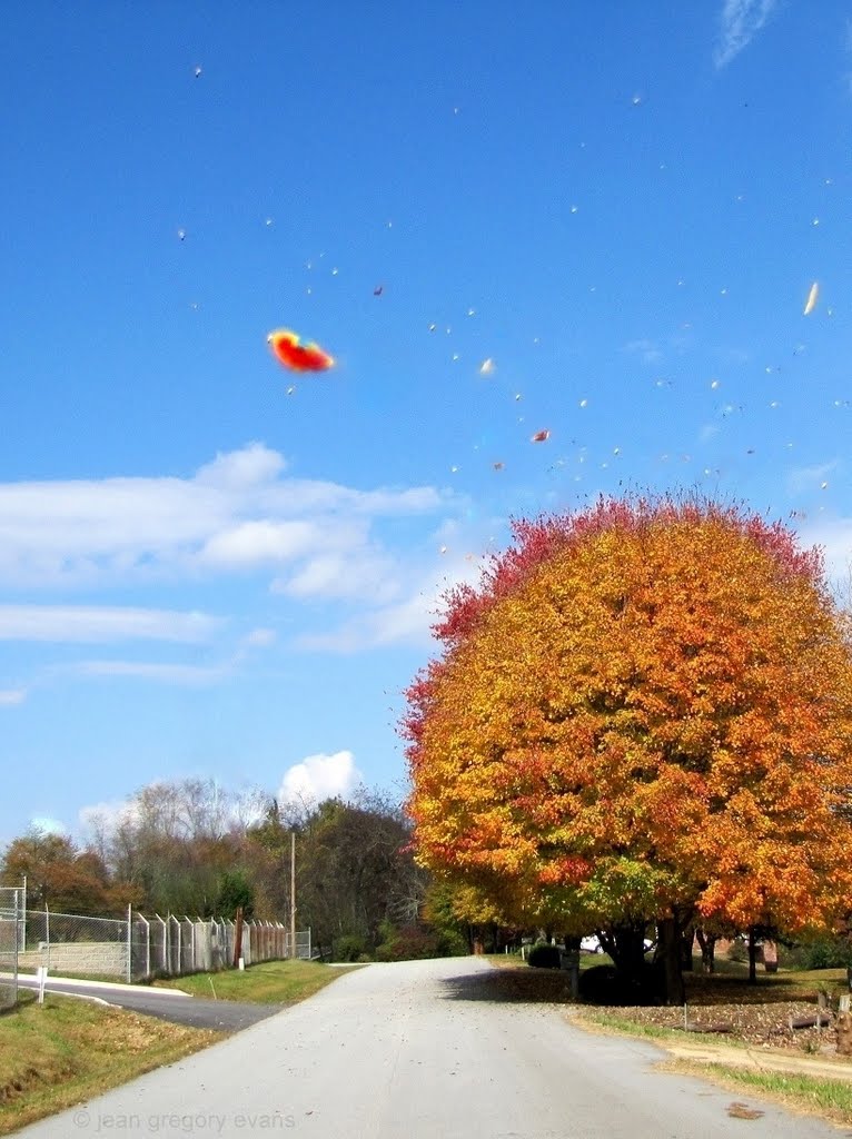 Autumn Leaves Blowing in the Wind, Франклин