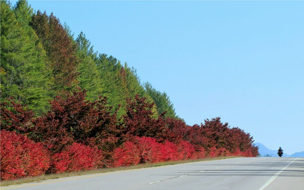 Merle Dryman Parkway In Autumn ... © All Rights Reserved, Франклин