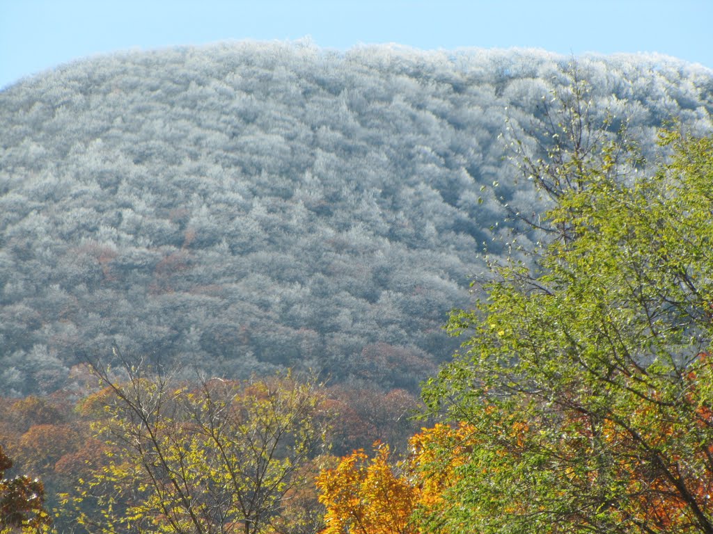 white blanket of frost, Blue Ridge Mountains..North Georgia , near Blairsville , Ga.   late October, 2011, Франклин