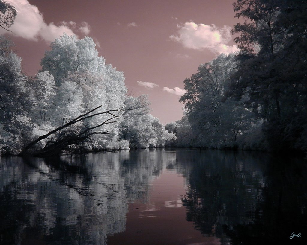 Buckhannon River "In Infrared", Бакханнон