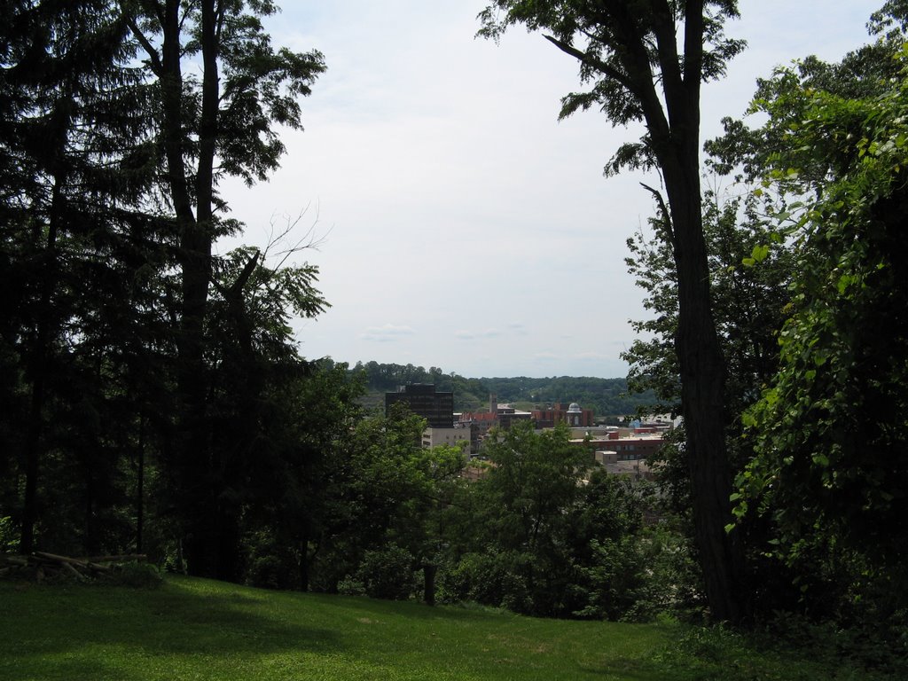 Parkersburg from Quincy Hill Park, Паркерсбург