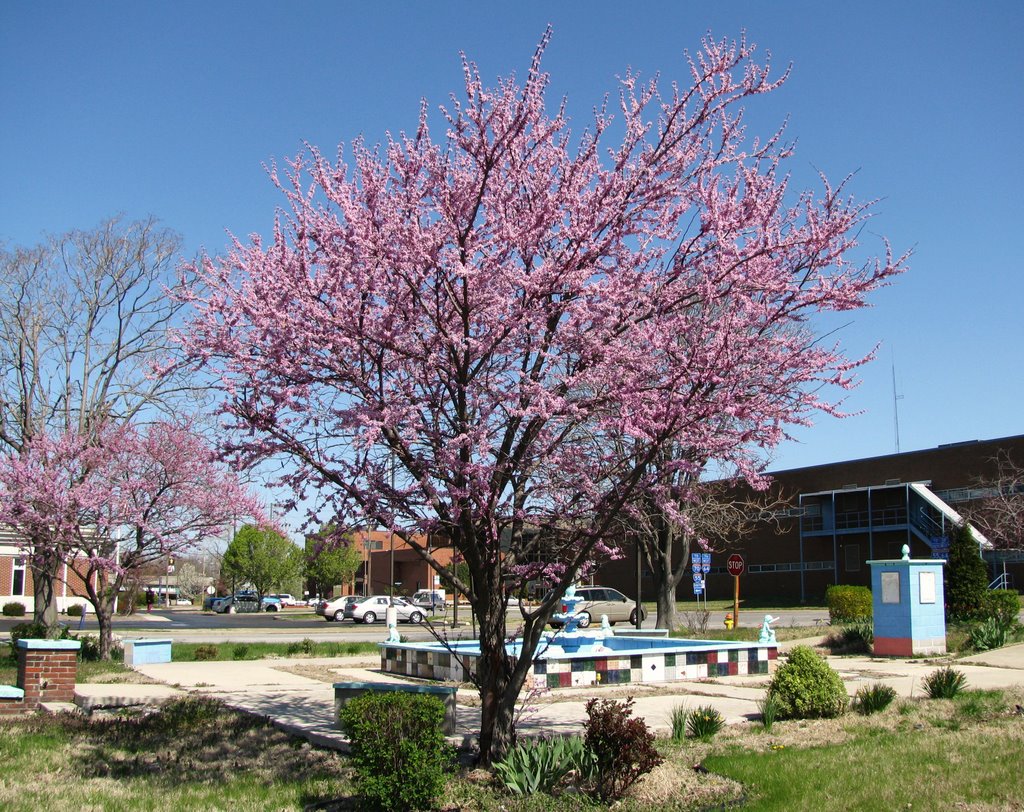 Spring in East St. Louis, Сент-Луис