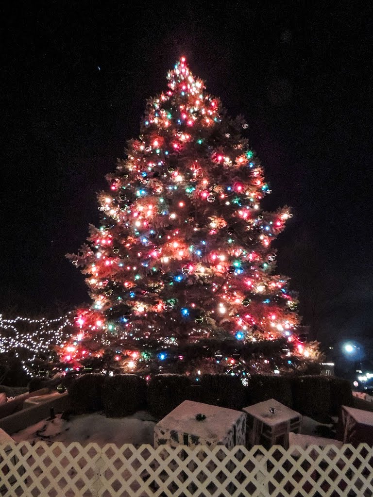 Tall Christmas Tree, Арлингтон-Хейгтс