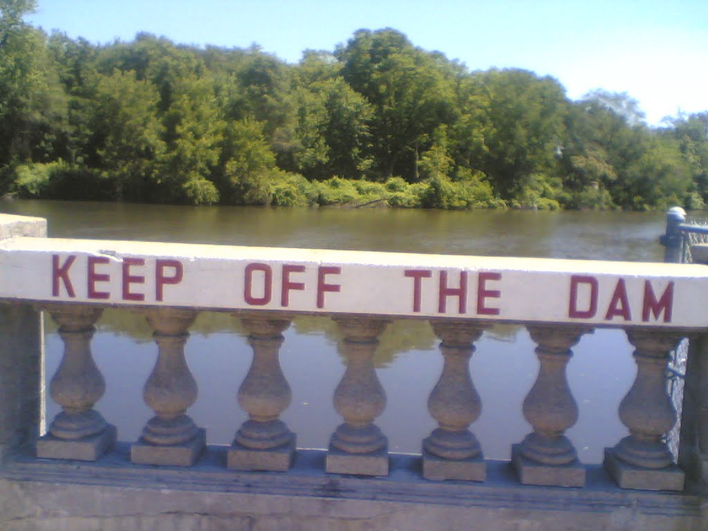 the dam, Белвидер